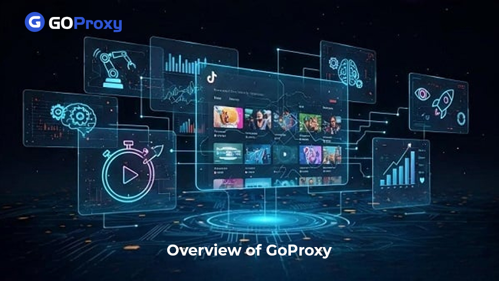 Overview of GoProxy